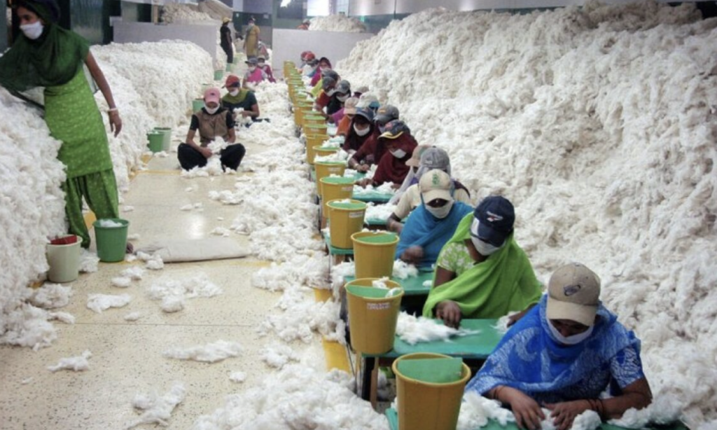 Import Of Raw Cotton Made Duty Free Till September 30